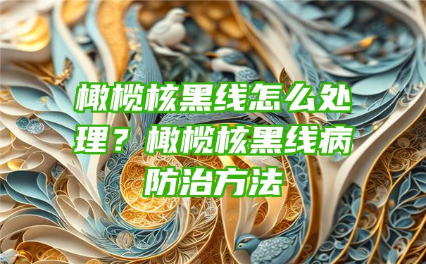 橄榄核黑线怎么处理？橄榄核黑线病防治方法