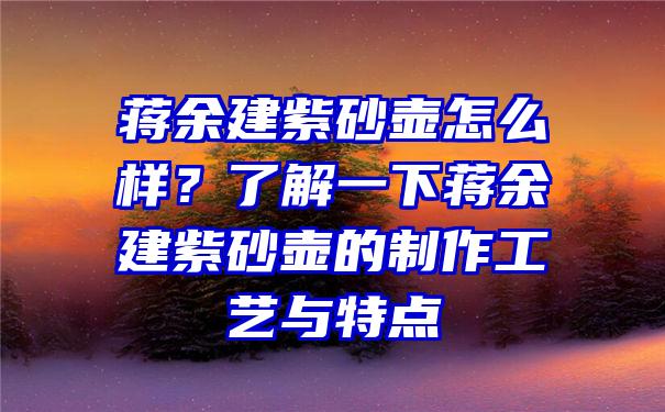 蒋余建紫砂壶怎么样？了解一下蒋余建紫砂壶的制作工艺与特点