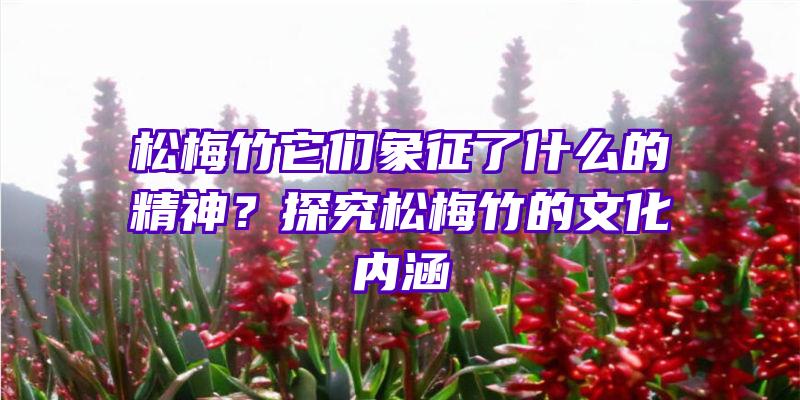 松梅竹它们象征了什么的精神？探究松梅竹的文化内涵