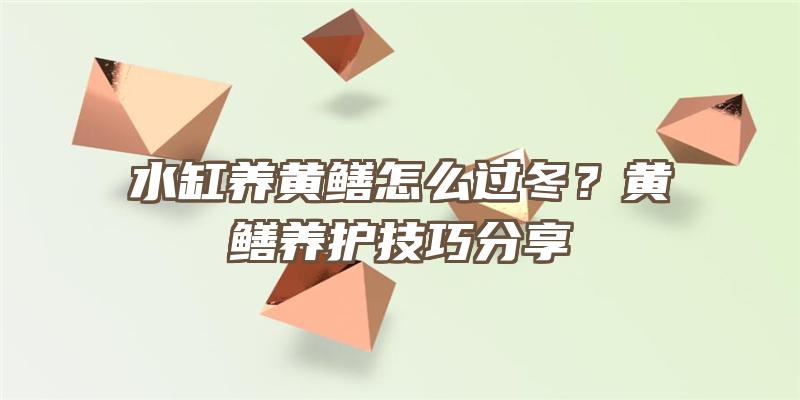 水缸养黄鳝怎么过冬？黄鳝养护技巧分享