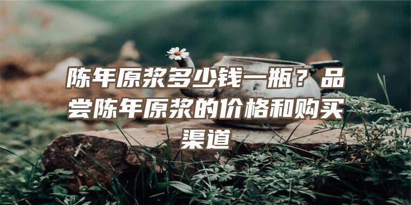 陈年原浆多少钱一瓶？品尝陈年原浆的价格和购买渠道