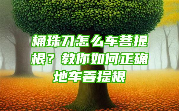 桶珠刀怎么车菩提根？教你如何正确地车菩提根