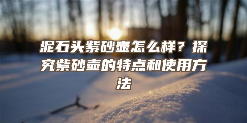 泥石头紫砂壶怎么样？探究紫砂壶的特点和使用方法