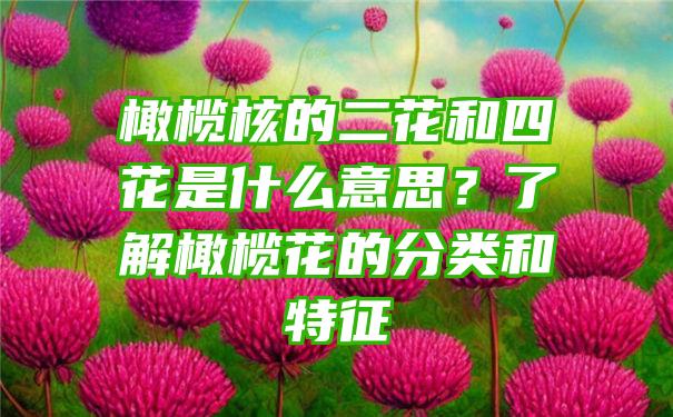 橄榄核的二花和四花是什么意思？了解橄榄花的分类和特征