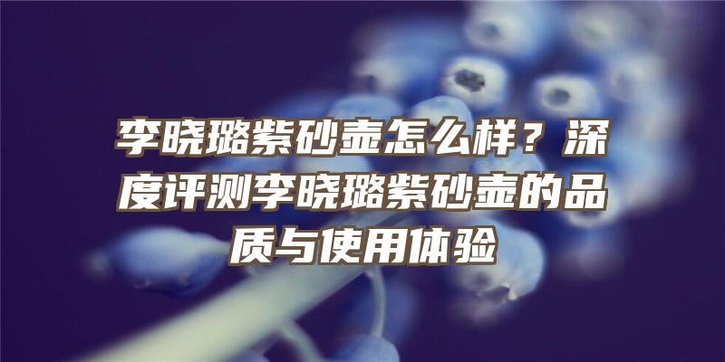 李晓璐紫砂壶怎么样？深度评测李晓璐紫砂壶的品质与使用体验