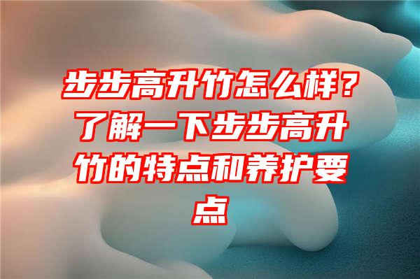 步步高升竹怎么样？了解一下步步高升竹的特点和养护要点