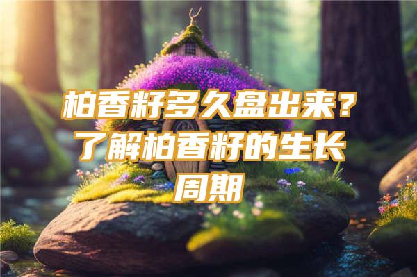 柏香籽多久盘出来？了解柏香籽的生长周期