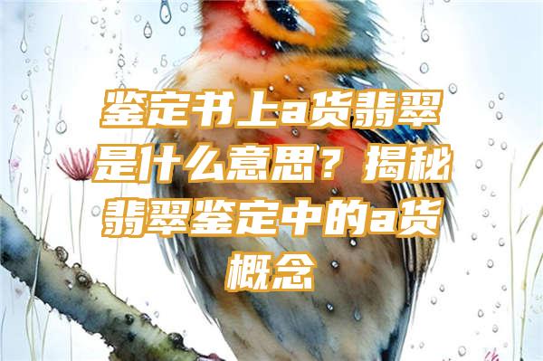 鉴定书上a货翡翠是什么意思？揭秘翡翠鉴定中的a货概念