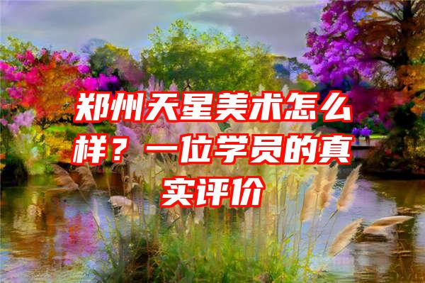 郑州天星美术怎么样？一位学员的真实评价