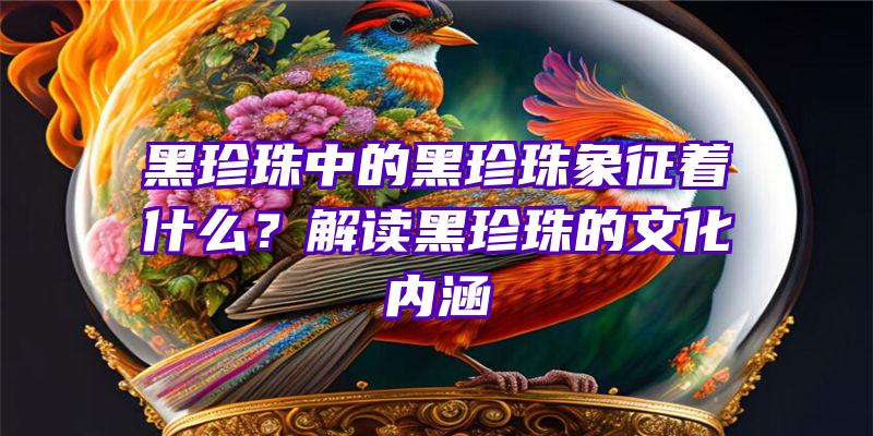 黑珍珠中的黑珍珠象征着什么？解读黑珍珠的文化内涵