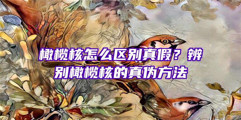 橄榄核怎么区别真假？辨别橄榄核的真伪方法