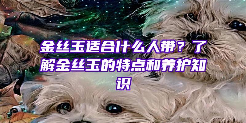 金丝玉适合什么人带？了解金丝玉的特点和养护知识