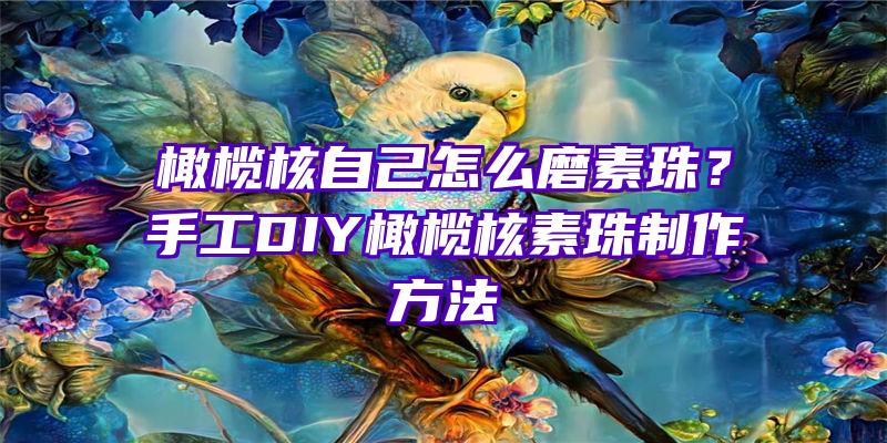 橄榄核自己怎么磨素珠？手工DIY橄榄核素珠制作方法