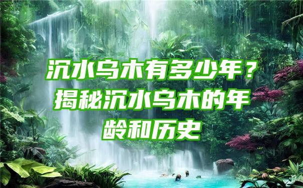 沉水乌木有多少年？揭秘沉水乌木的年龄和历史