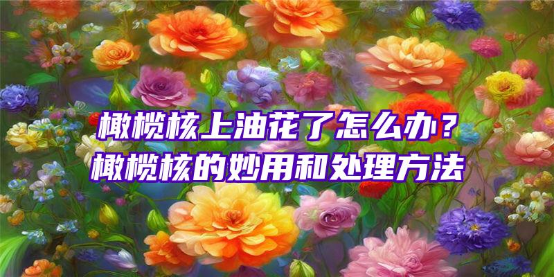 橄榄核上油花了怎么办？橄榄核的妙用和处理方法