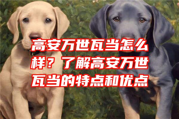 高安万世瓦当怎么样？了解高安万世瓦当的特点和优点