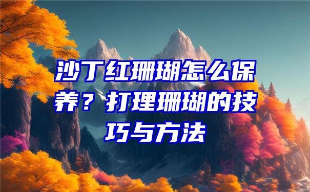 沙丁红珊瑚怎么保养？打理珊瑚的技巧与方法