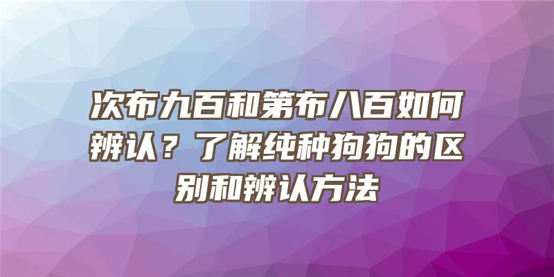 次布九百和第布八百如何辨认？了解纯种狗狗的区别和辨认方法