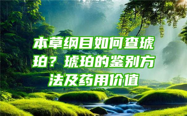 本草纲目如何查琥珀？琥珀的鉴别方法及药用价值