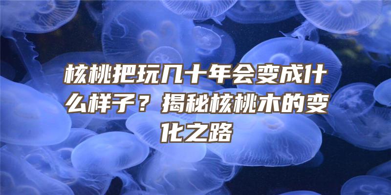 核桃把玩几十年会变成什么样子？揭秘核桃木的变化之路