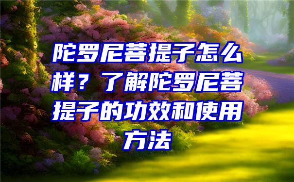 陀罗尼菩提子怎么样？了解陀罗尼菩提子的功效和使用方法