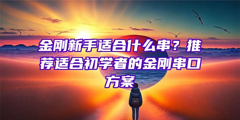 金刚新手适合什么串？推荐适合初学者的金刚串口方案