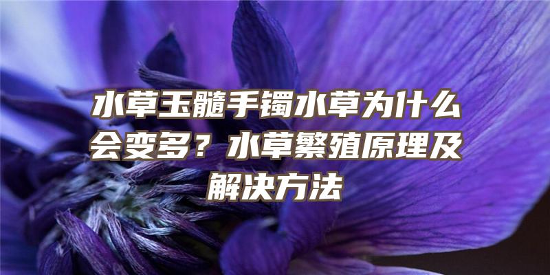 水草玉髓手镯水草为什么会变多？水草繁殖原理及解决方法