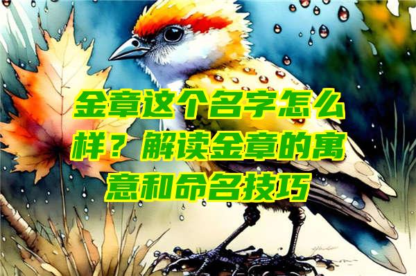 金章这个名字怎么样？解读金章的寓意和命名技巧