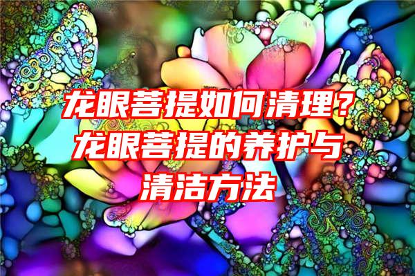 龙眼菩提如何清理？龙眼菩提的养护与清洁方法