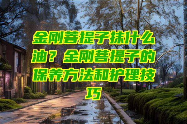 金刚菩提子抹什么油？金刚菩提子的保养方法和护理技巧