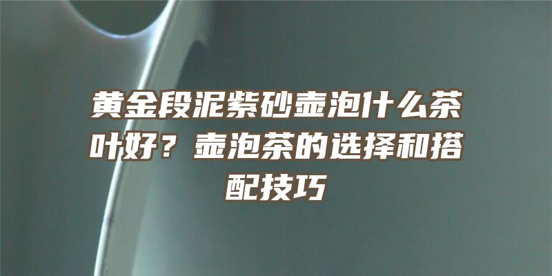 黄金段泥紫砂壶泡什么茶叶好？壶泡茶的选择和搭配技巧