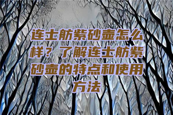 连士舫紫砂壶怎么样？了解连士舫紫砂壶的特点和使用方法