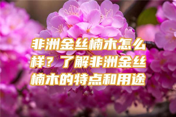 非洲金丝楠木怎么样？了解非洲金丝楠木的特点和用途