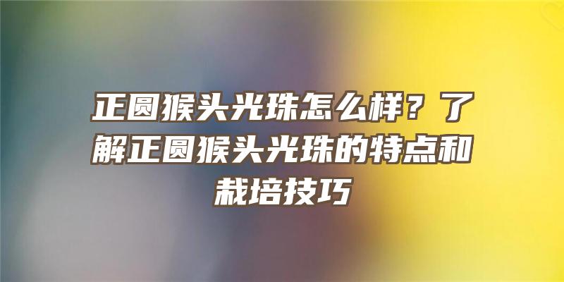 正圆猴头光珠怎么样？了解正圆猴头光珠的特点和栽培技巧