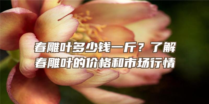 春雕叶多少钱一斤？了解春雕叶的价格和市场行情