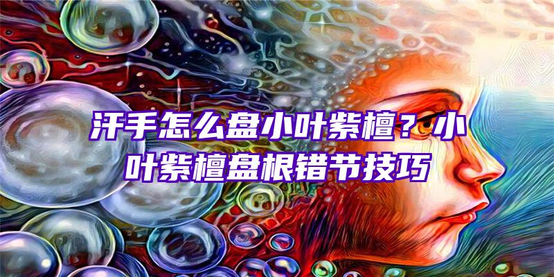 汗手怎么盘小叶紫檀？小叶紫檀盘根错节技巧