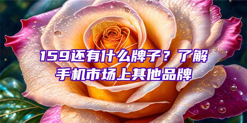 159还有什么牌子？了解手机市场上其他品牌