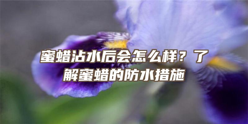 蜜蜡沾水后会怎么样？了解蜜蜡的防水措施