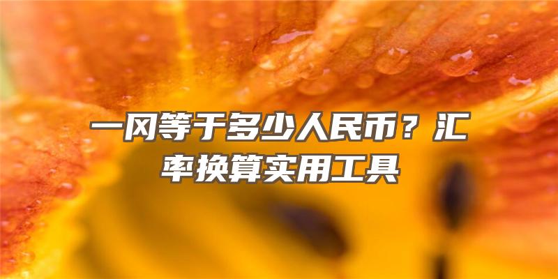 一冈等于多少人民币？汇率换算实用工具