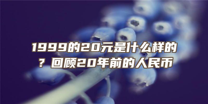 1999的20元是什么样的？回顾20年前的人民币