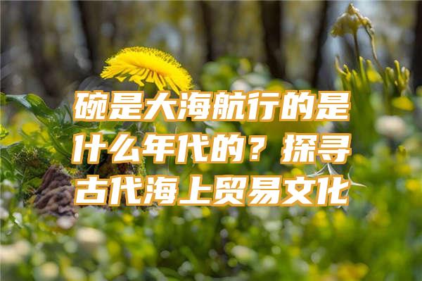 碗是大海航行的是什么年代的？探寻古代海上贸易文化