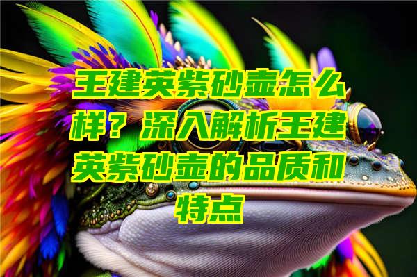 王建英紫砂壶怎么样？深入解析王建英紫砂壶的品质和特点