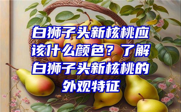 白狮子头新核桃应该什么颜色？了解白狮子头新核桃的外观特征