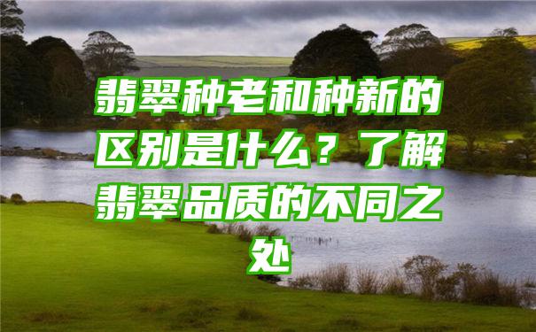 翡翠种老和种新的区别是什么？了解翡翠品质的不同之处