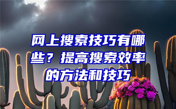 网上搜索技巧有哪些？提高搜索效率的方法和技巧