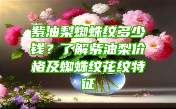 紫油梨蜘蛛纹多少钱？了解紫油梨价格及蜘蛛纹花纹特征