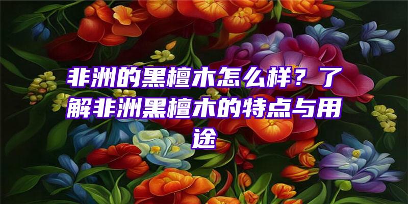 非洲的黑檀木怎么样？了解非洲黑檀木的特点与用途