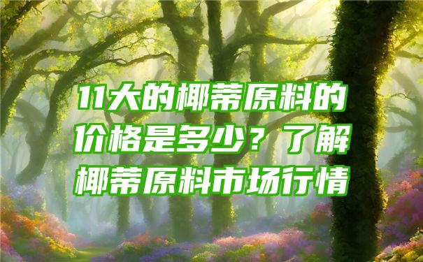 11大的椰蒂原料的价格是多少？了解椰蒂原料市场行情