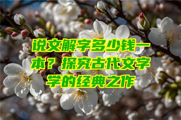 说文解字多少钱一本？探究古代文字学的经典之作