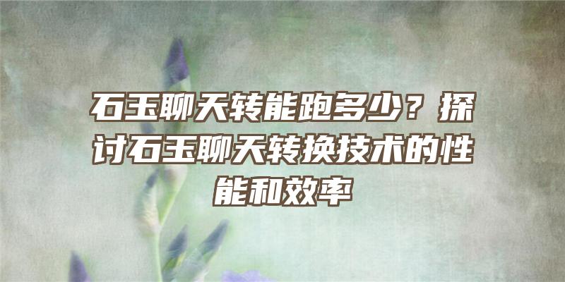 石玉聊天转能跑多少？探讨石玉聊天转换技术的性能和效率